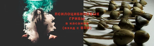 дурь Баксан